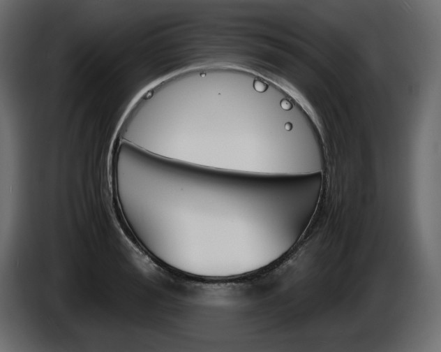 X0000086910988200704161005