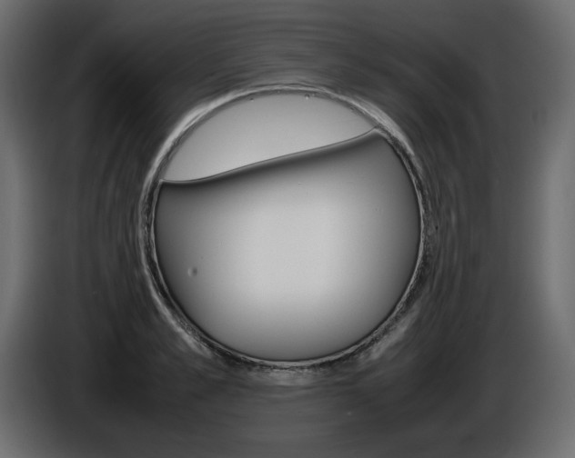 X0000086910989200704161005