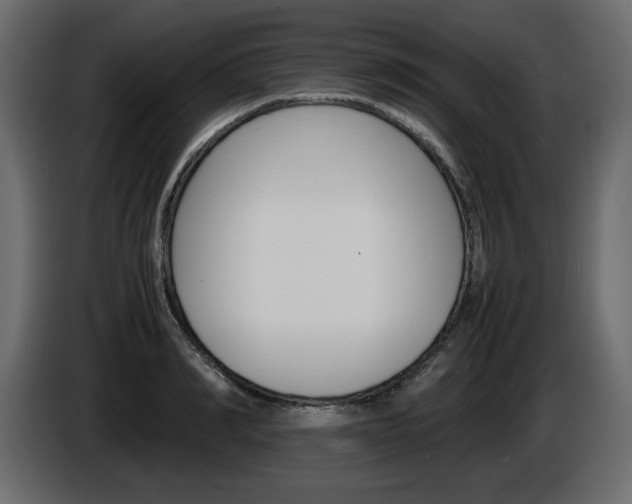X0000086910990200704161005