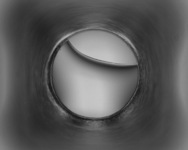 X0000086910991200704161005