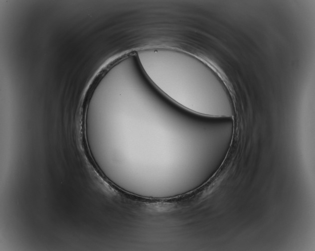 X0000086910992200704161005