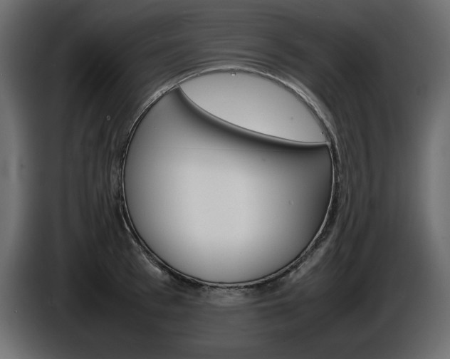 X0000086910993200704161005