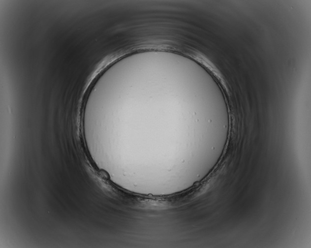 X0000086910994200704161005