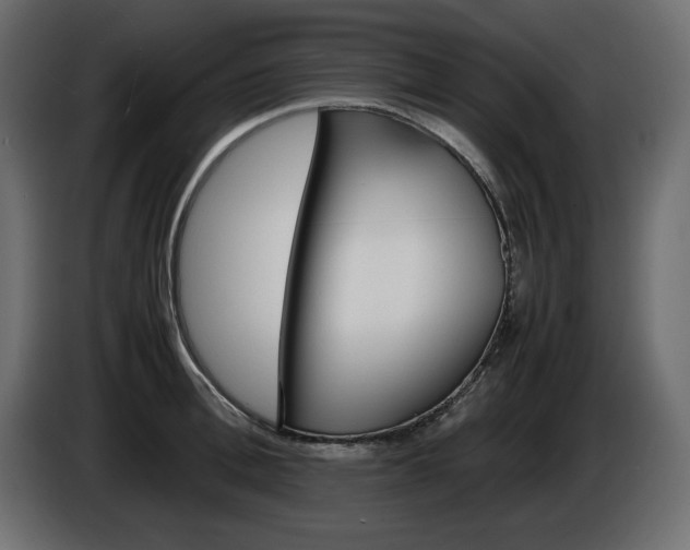 X0000086910996200704161005