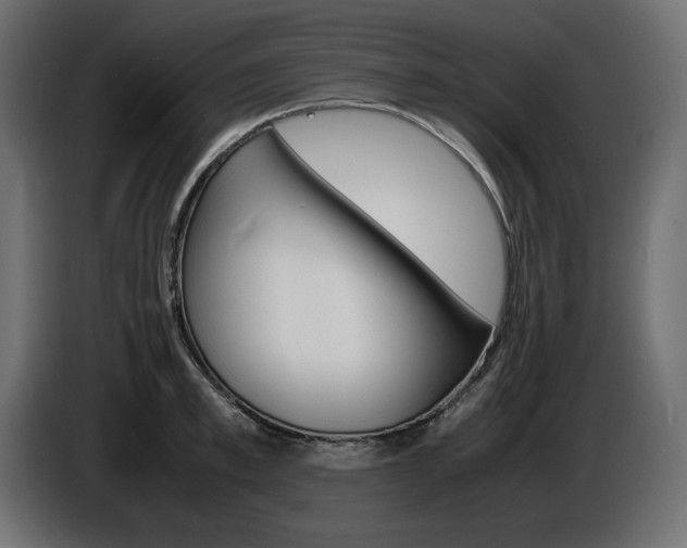 X0000086910997200704161005