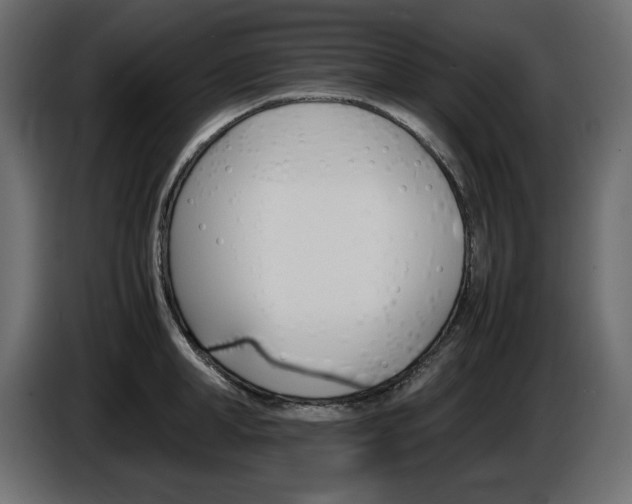 X0000086910998200704161005