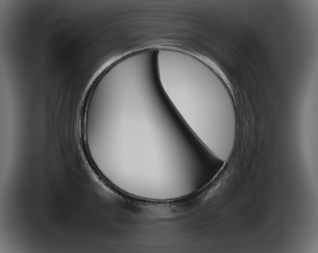 X0000086910999200704161005