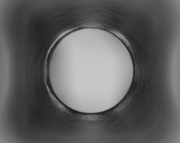 X0000086911000200704161005
