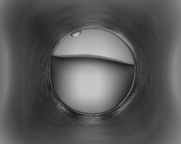 X0000086911001200704161005
