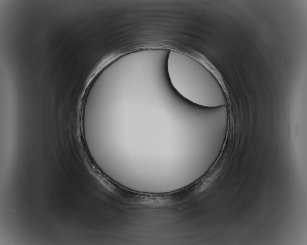 X0000086911002200704161005