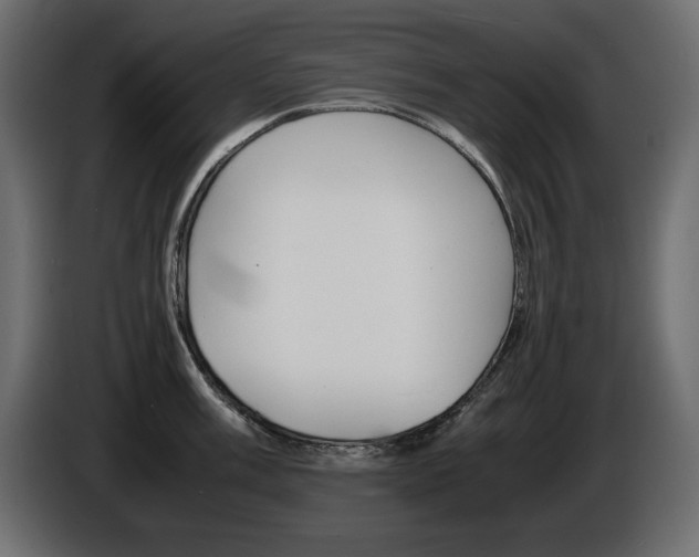 X0000086911003200704161005