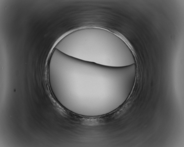 X0000086911004200704161005