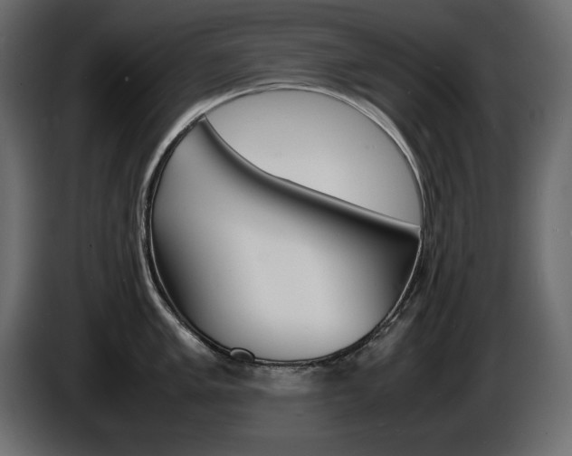 X0000086911005200704161005