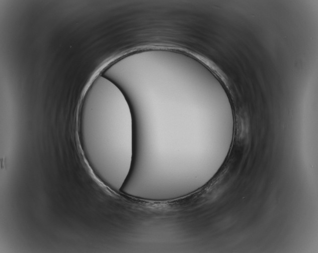 X0000086911006200704161005
