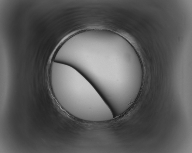 X0000086911008200704161005