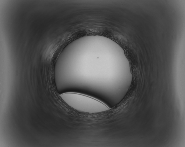 X0000086911009200704161004