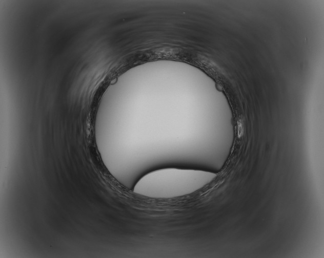 X0000086911011200704161004