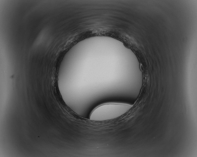 X0000086911012200704161004