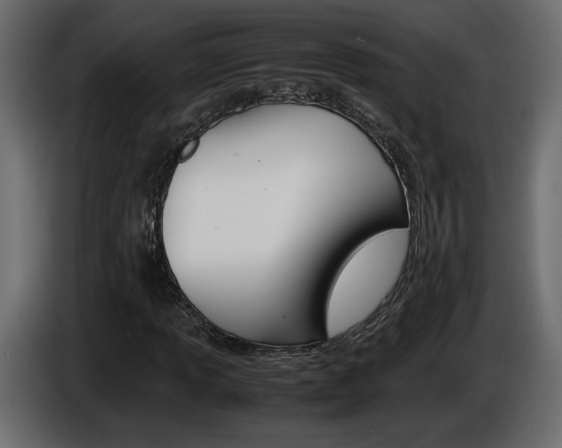 X0000086911013200704161004