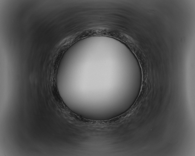 X0000086911014200704161004