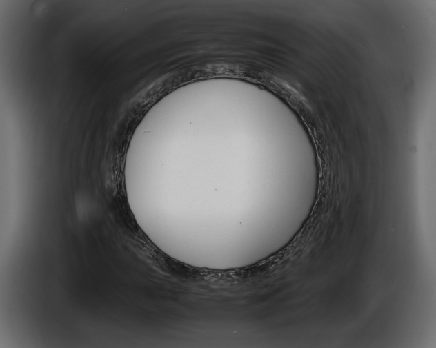 X0000086911015200704161004