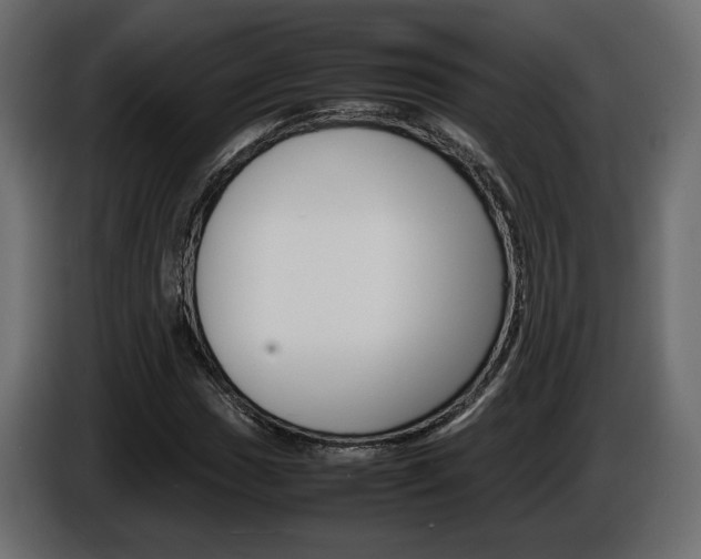 X0000086911017200704161004