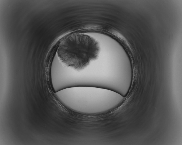 X0000086911019200704161004