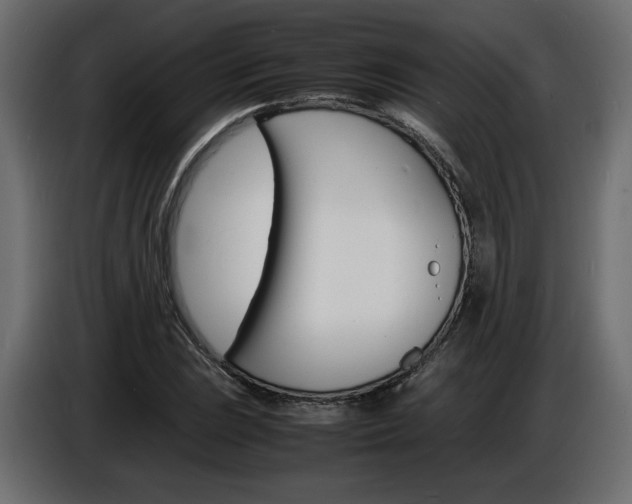 X0000086911023200704161004