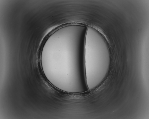 X0000086911024200704161004