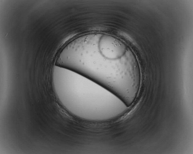 X0000086911025200704161004