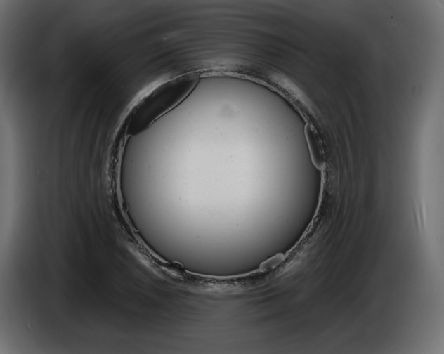 X0000086911026200704161004