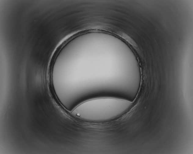 X0000086911028200704161004