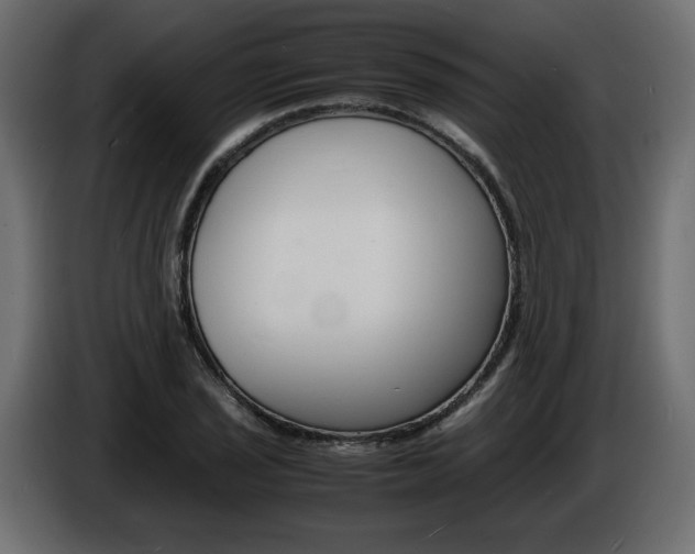 X0000086911029200704161004