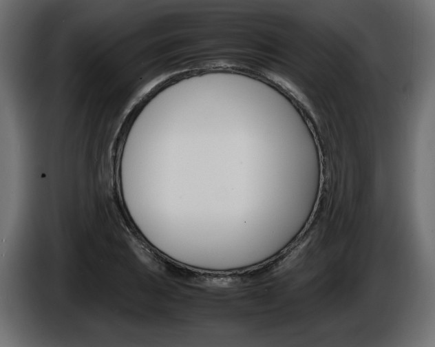 X0000086911031200704161004