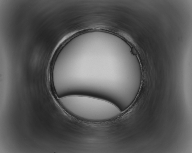 X0000086911032200704161004