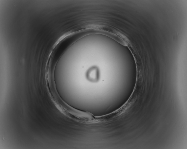 X0000086911034200704161004