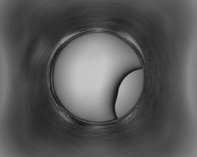 X0000086911035200704161004