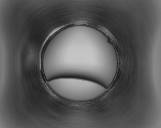X0000086911036200704161004