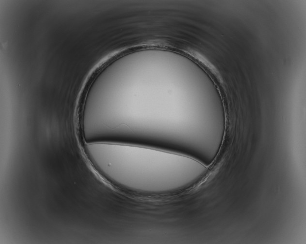 X0000086911037200704161004