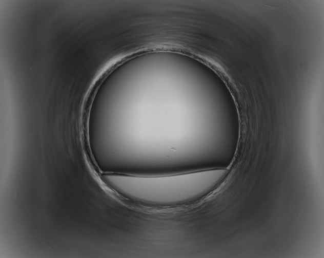 X0000086911038200704161004