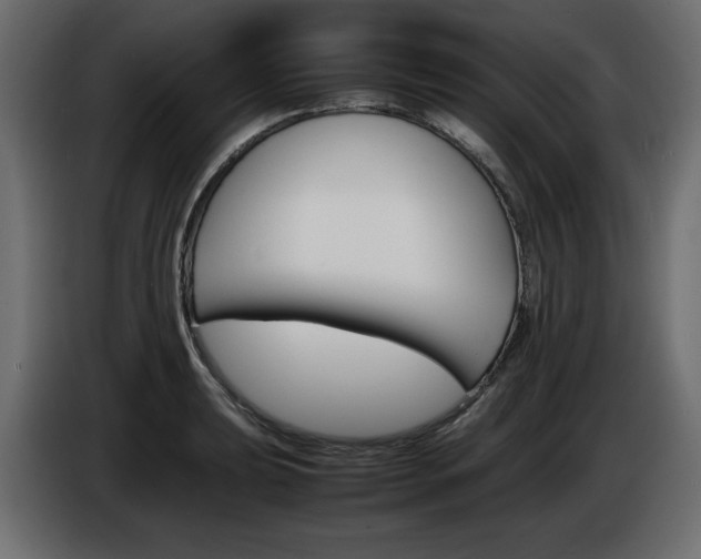 X0000086911039200704161004