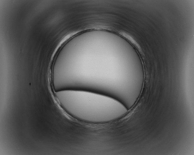 X0000086911040200704161005