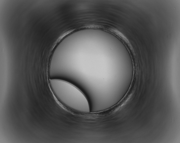 X0000086911041200704161005