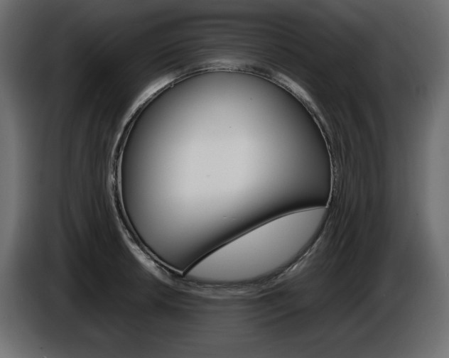 X0000086911042200704161005