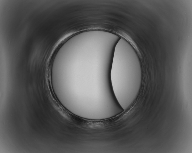 X0000086911043200704161005