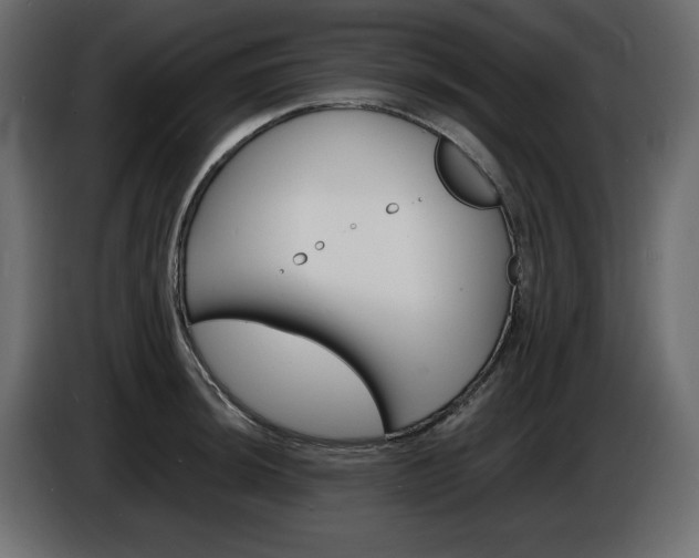 X0000086911044200704161005