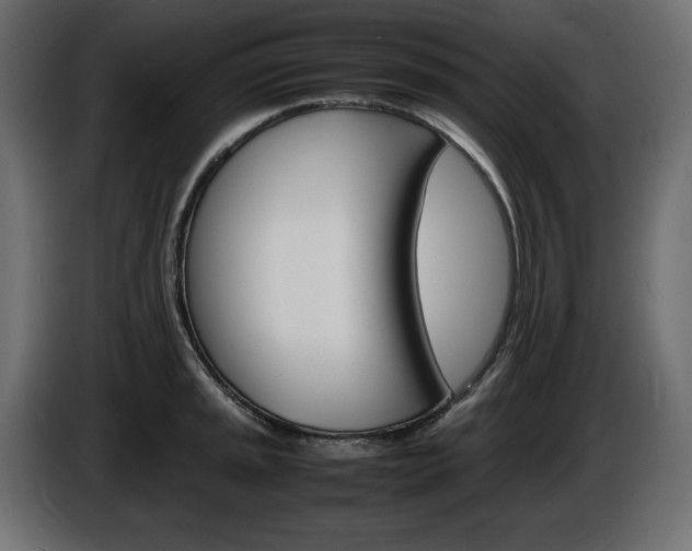 X0000086911045200704161005