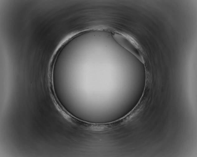 X0000086911046200704161005