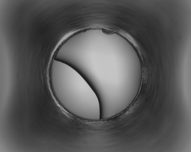 X0000086911048200704161005