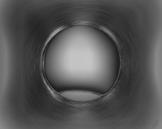 X0000086911050200704161005